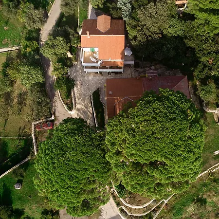 Lucija