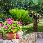 Lucija Apartman