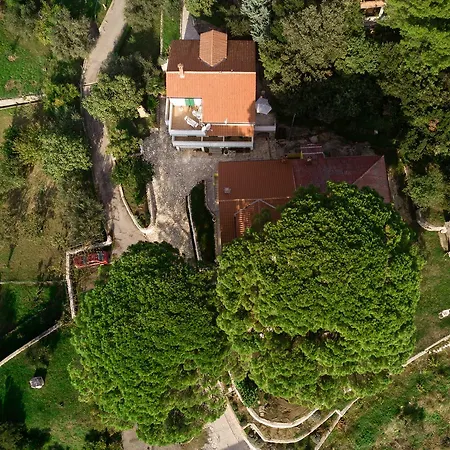 Lucija